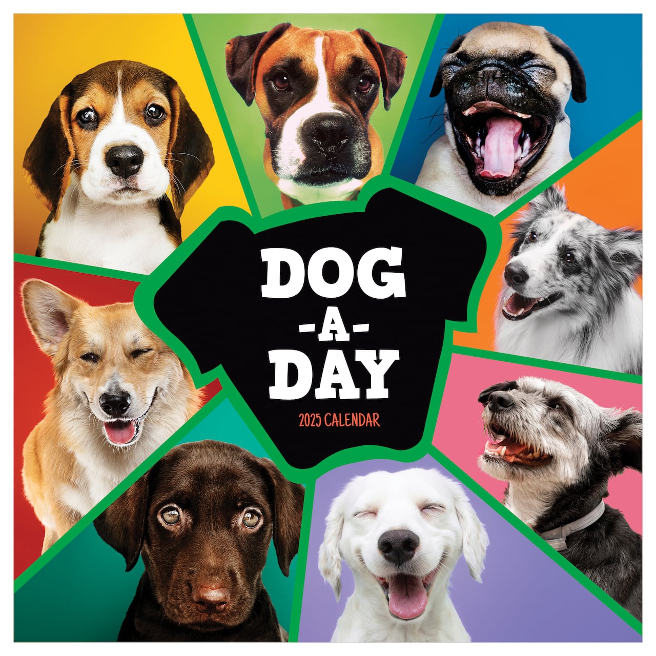 Dog A Day Wall Calendar 2025